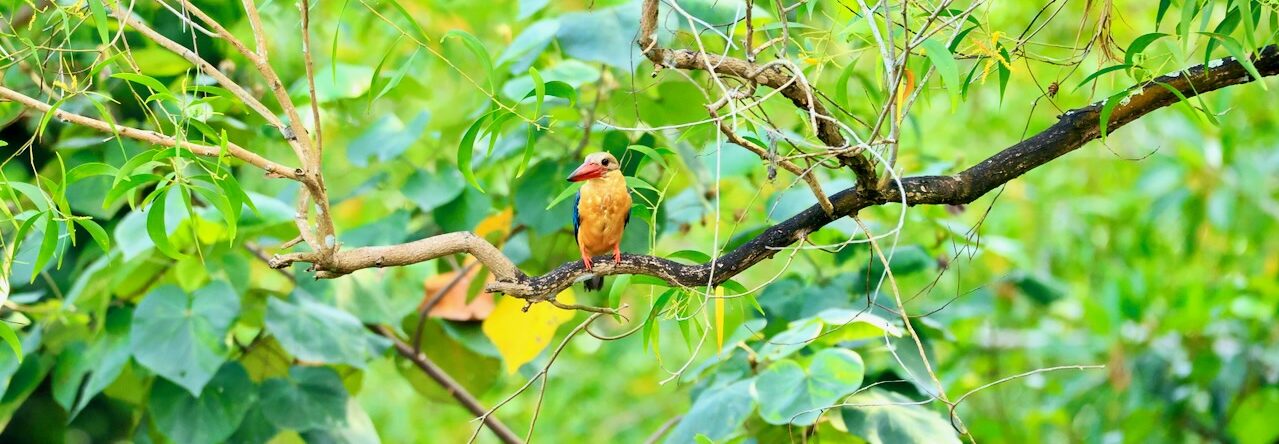 TGH Photography and Travel Portal/Blog